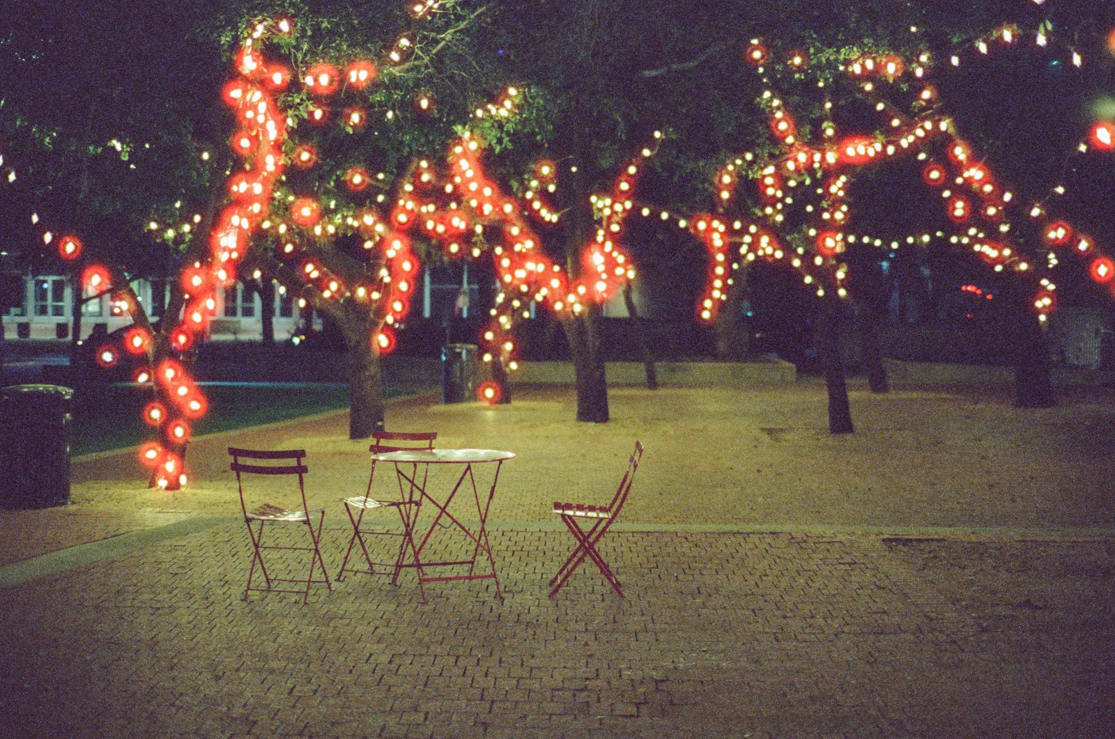 Trees decorated with red lights at night