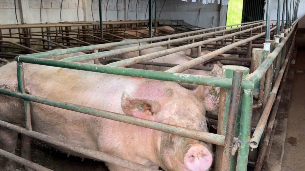 WhatsApp Image 2025-12-02 at 12.46.36