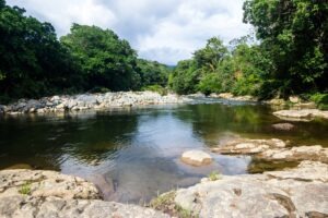 48013818386_52f19d2d6b_b