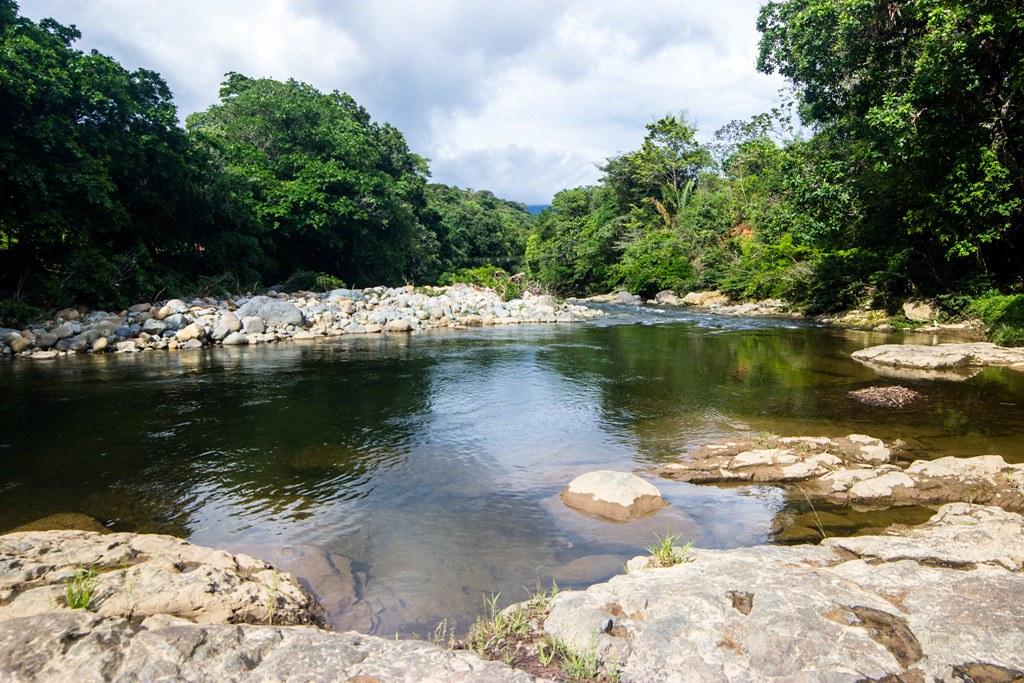 48013818386_52f19d2d6b_b