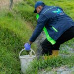 Incautacion del acero vegetal o guadua, enero 2026.