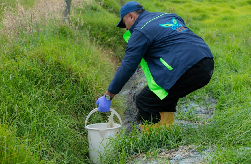Incautacion del acero vegetal o guadua, enero 2026.