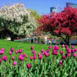 Ológrafo: Las estrellas caen mansas en el alma…