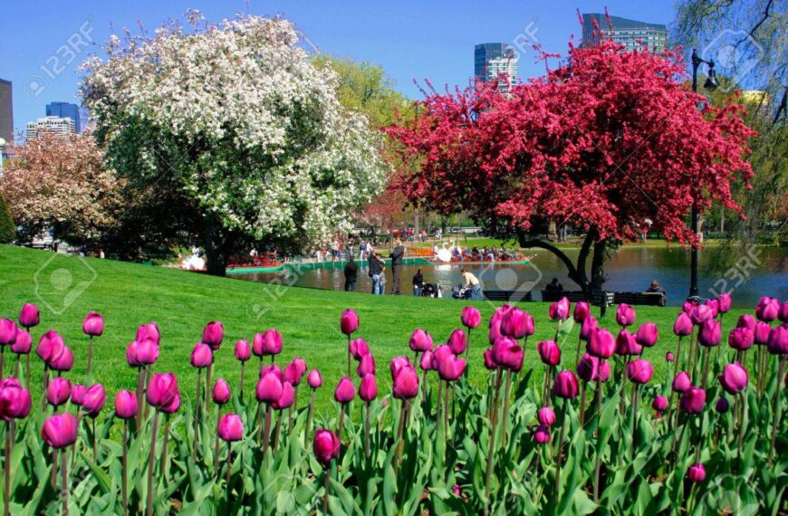 Ol&oacute;grafo: Las estrellas caen mansas en el alma&hellip;