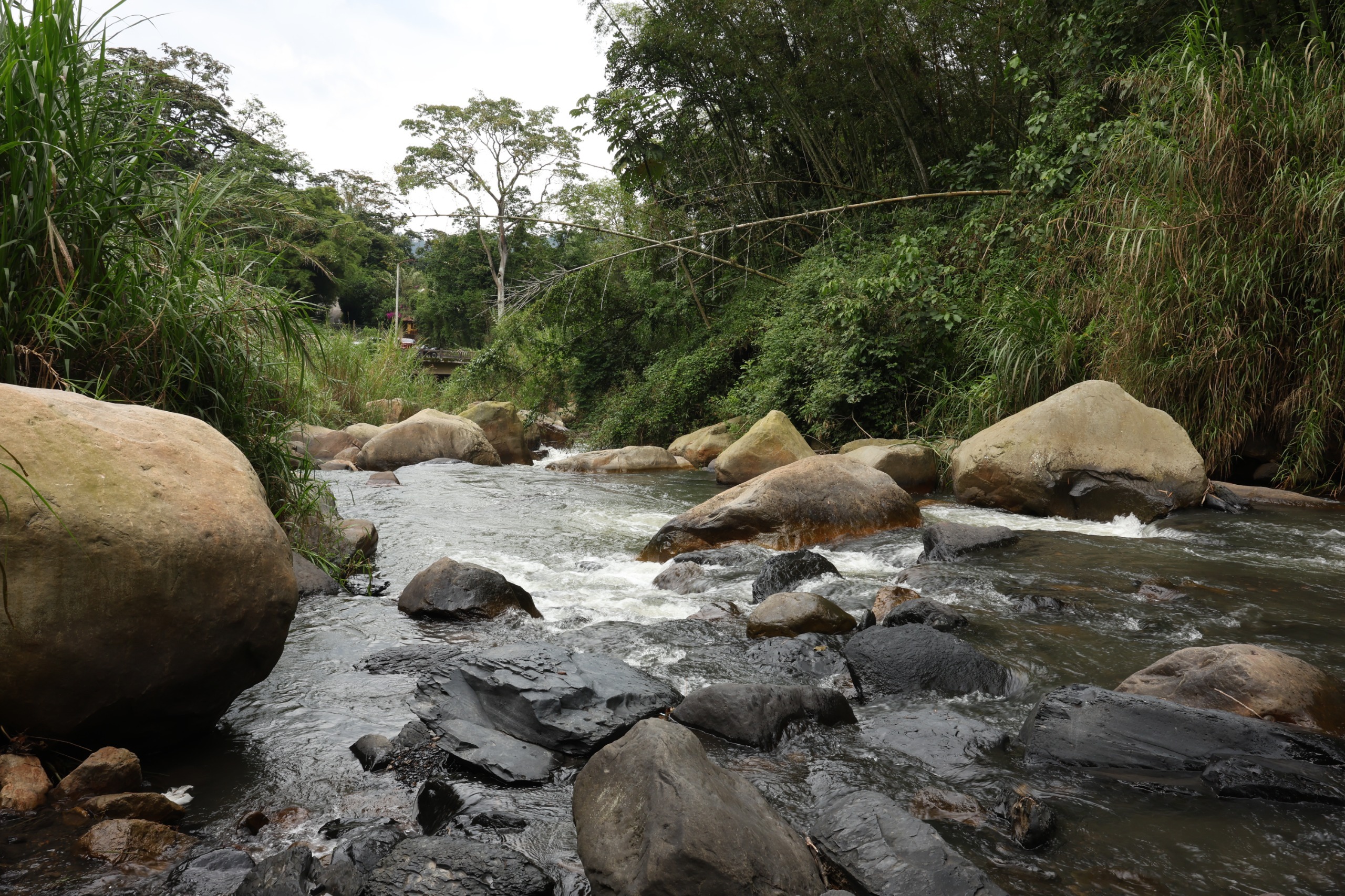 Clima, inversión y prevención. Colombia CAR #Febrero2026
