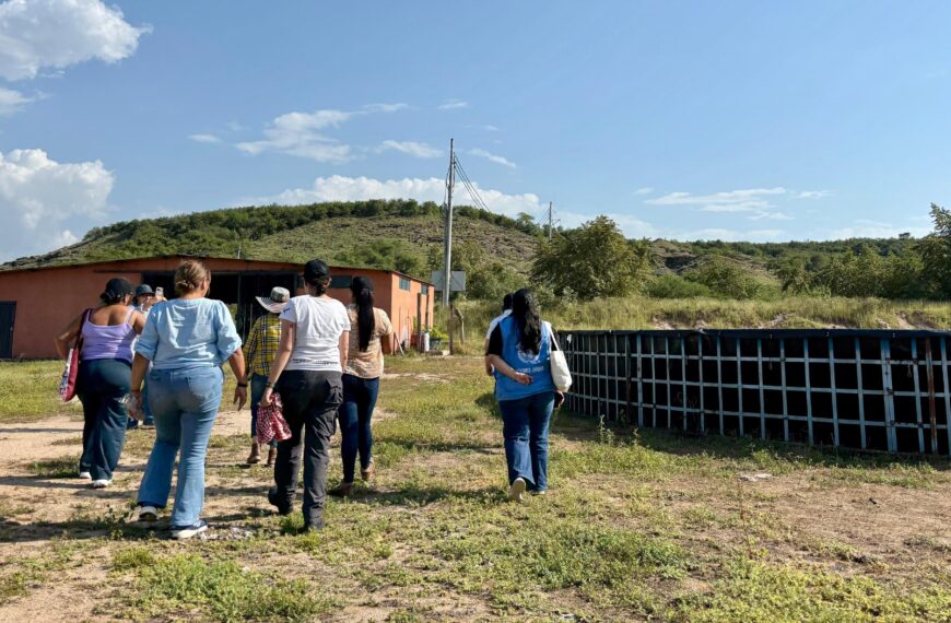 Se mantienen los beneficios económicos del programa de reincorporación