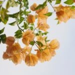 Estadísticas priradiotv marzo 2026