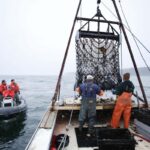 Herramienta mundial para la competitividad pesquera
