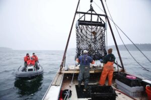 Operaciones internacionales contra pesca ilegal y protección de recursos pesqueros mundiales impulsadas por Estados Unidos.