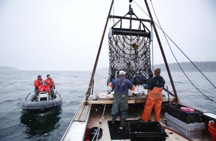 Operaciones internacionales contra pesca ilegal y protección de recursos pesqueros mundiales impulsadas por Estados Unidos.