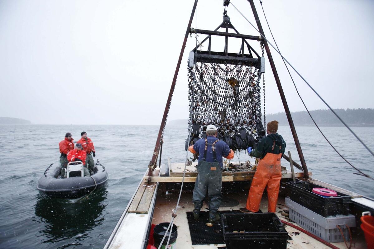 Operaciones internacionales contra pesca ilegal y protección de recursos pesqueros mundiales impulsadas por Estados Unidos.
