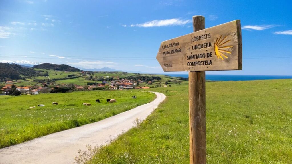 el camino de santiago